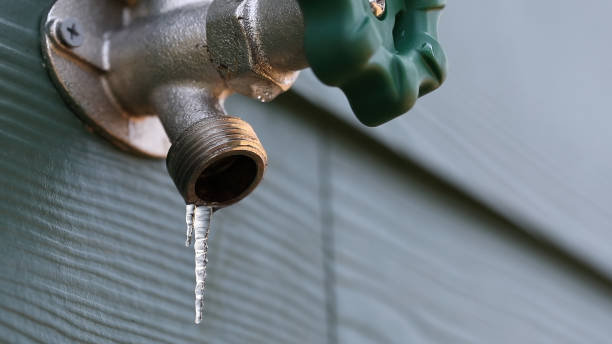 Best Plumbing Inspection Services  in Fritz Creek, AK